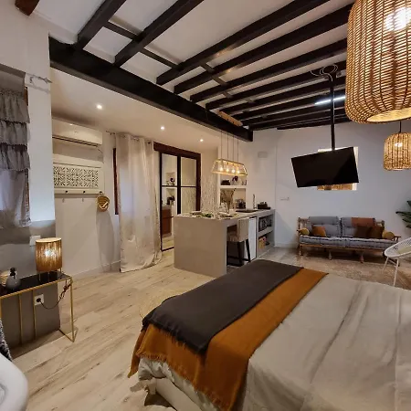 Apartment Lofts Amantes De -loft Sagrario *