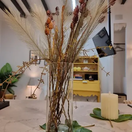 Daire Lofts Amantes De -loft Sagrario Toledo